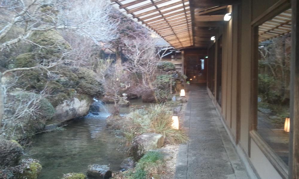 2012-01-28 16.34.59.jpg